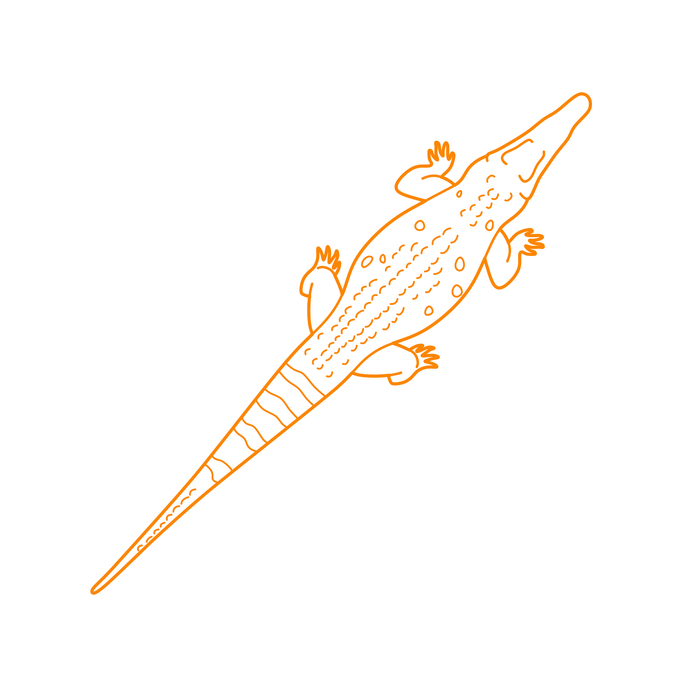 Animals Crocodilians Orinoco Crocodile Simple Line Art Svg Free Vectors